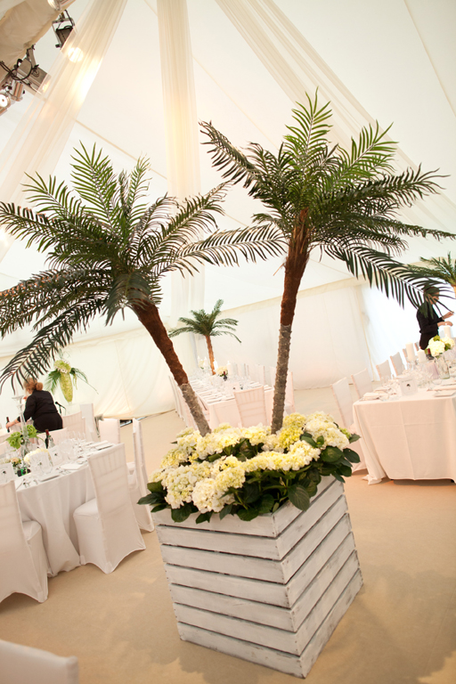 Double Palm Tree Crate In Hire