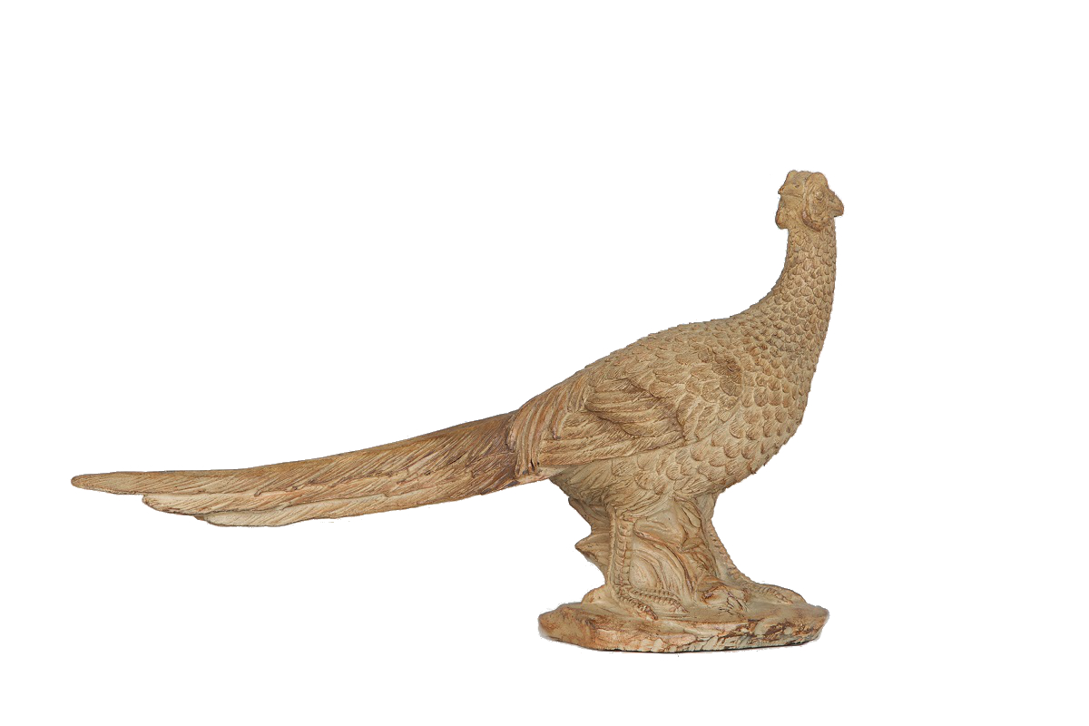 Wood Pheasant
